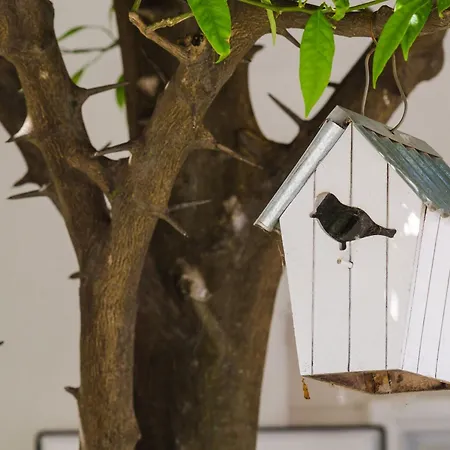 & Bari I Apartment Mlini